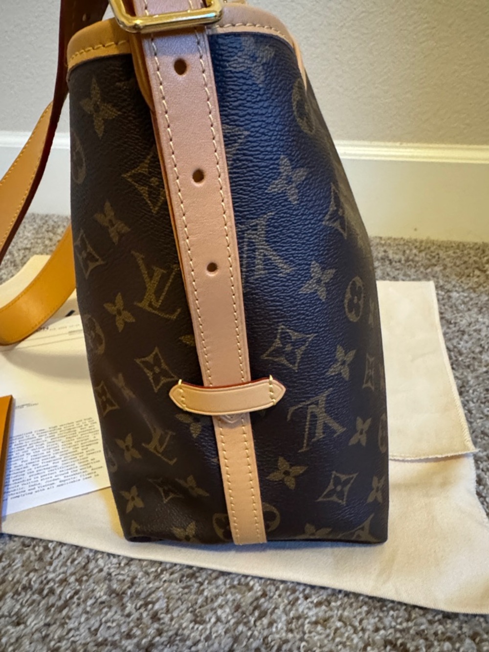 AUTHENTIC LOUIS VUITTON CARRYALL PM - Picture 4 of 12